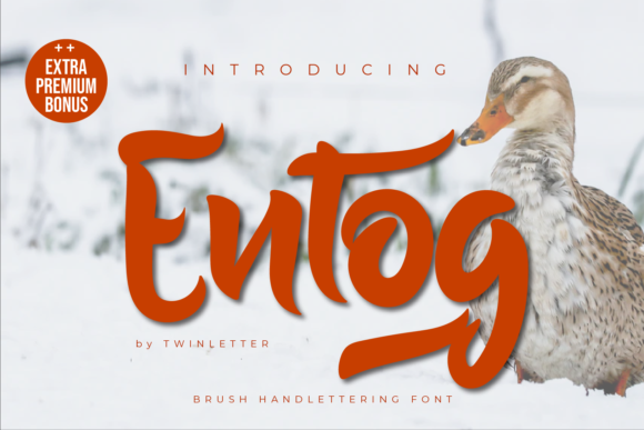 Entog: A Handwritten Font for Timeless Editorial Design
