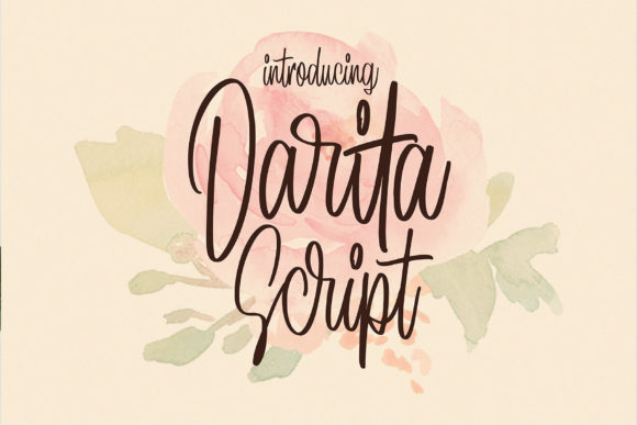 How Darita Transformed My Campaign Visuals with Timeless Typography