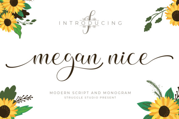 Megan Nice: A Timeless Script Font for Impactful Campaigns