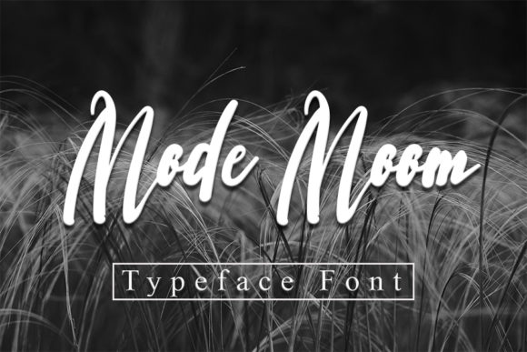 Mode Moon: A Handwritten Font for Modern Branding