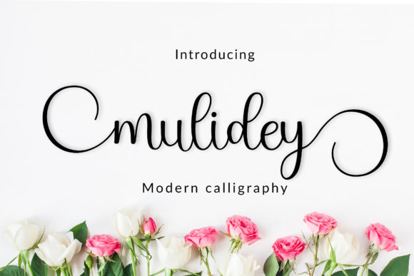 Mulidey: The Handwritten Font That Elevates Campaign Design